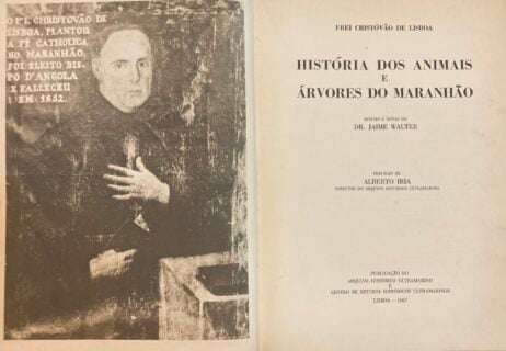 História dos animais e árvores do Maranhão - Image 2