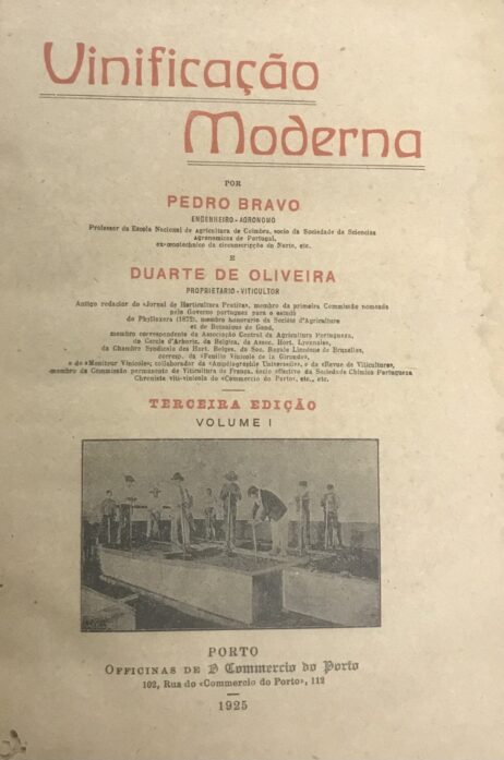 Vinificação Moderna