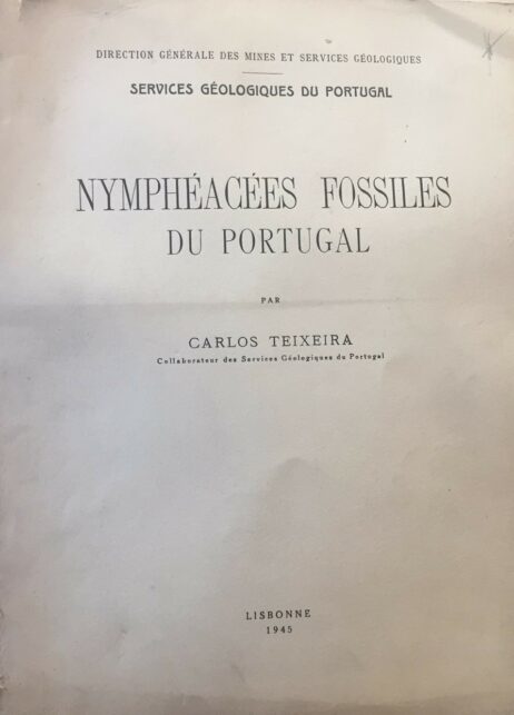 Nymphéacées Fossiles du Portugal