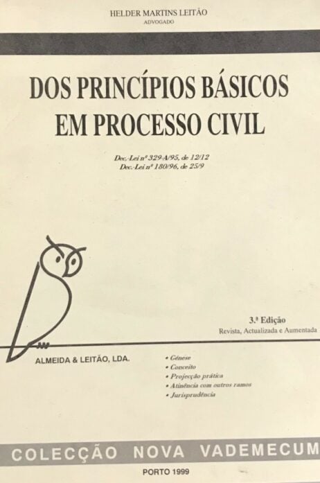 Dos princípios básicos em Processo Civil - Dec.-Lei n.º329-A/95, de 12/12 - Dec.-Lei n.º 180/96, de 25/9