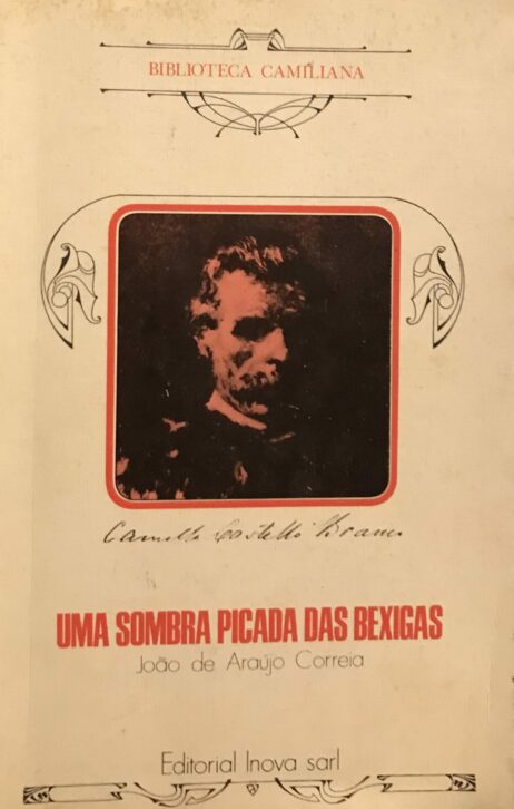 Uma sombra picada das bexigas