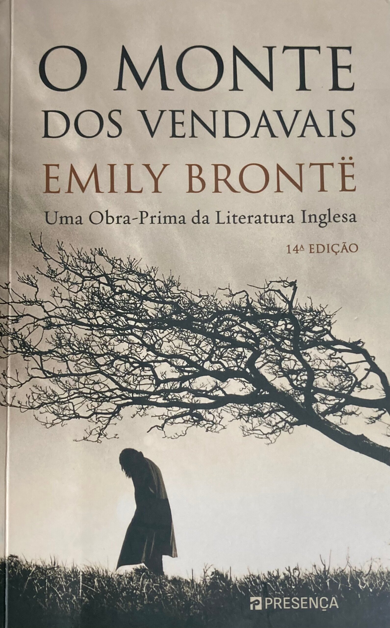 O Monte dos Vendavais